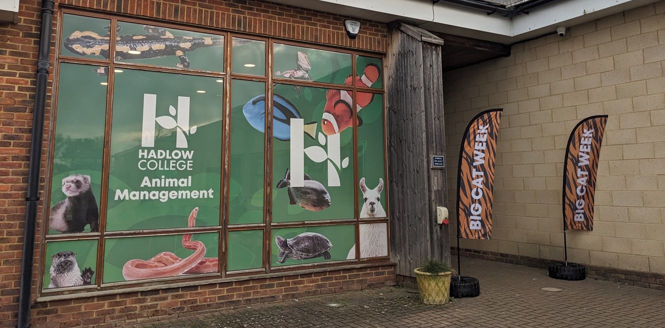 Front of Animal Management unit with flags in front of it promoting Big Cat Week