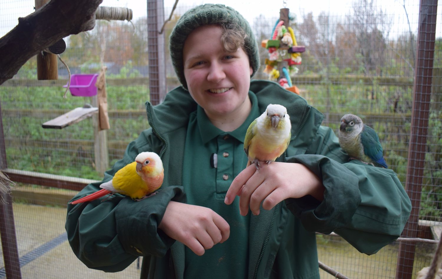 Student with birds