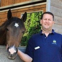 Man next to horses