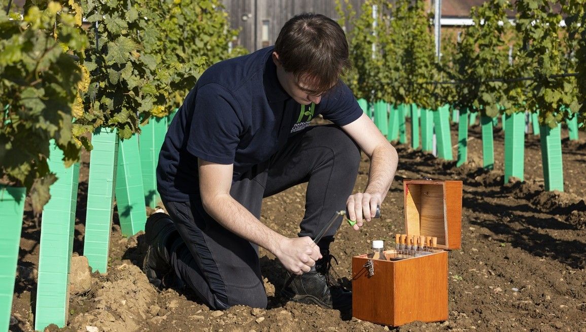 Student testing soil