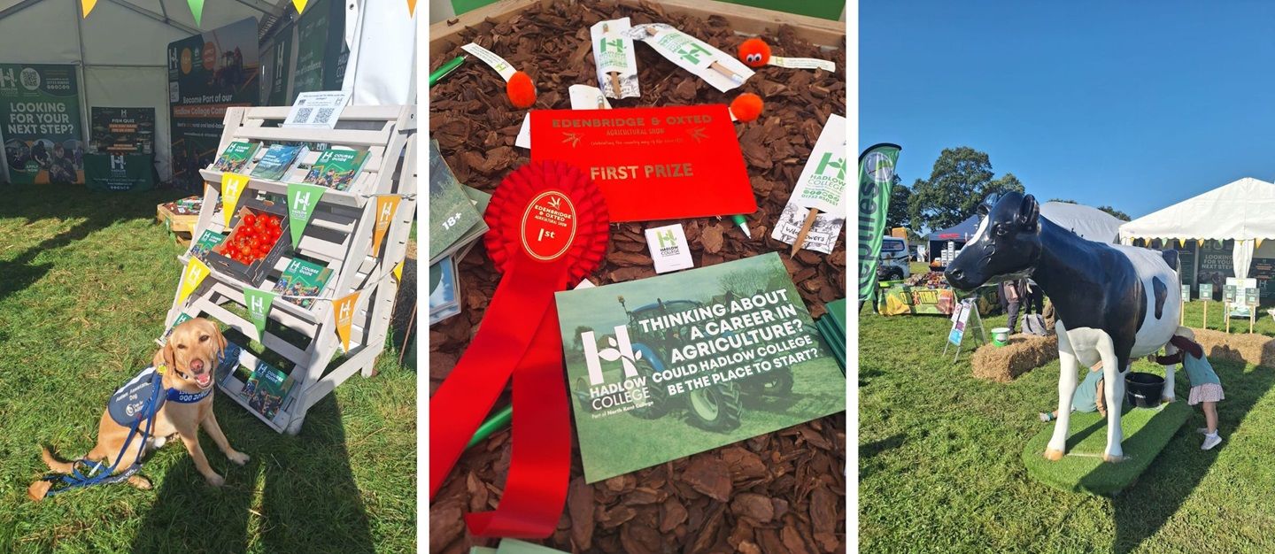 Montage of photos from Edenbridge and Oxted Show